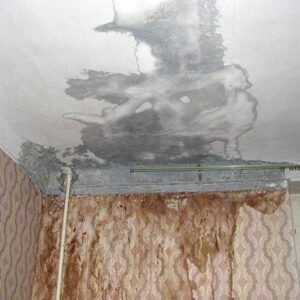 تسربات الأسطح